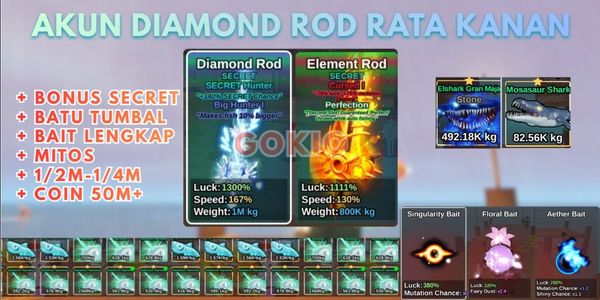 DIAMOND ACCOUNT ROD