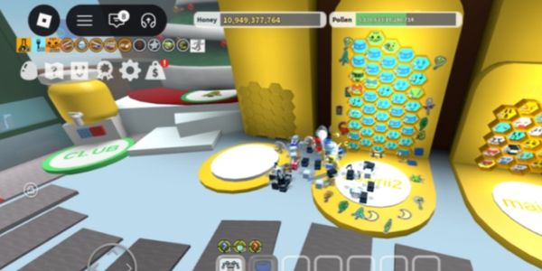 ACCOUNT MID GAME | BEE SWARM