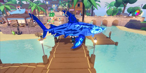 Midnight Magma Shark