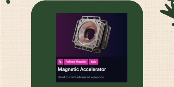 Magnetic Accelerator