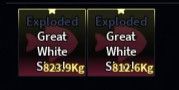 Exploded Great White Shark
