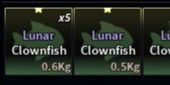 Lunar Clownfish