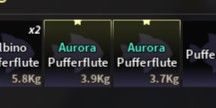 Aurora Pufferflute