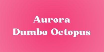 Aurora Dumbo Octopus