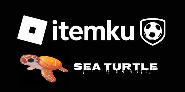 Sea Turtle