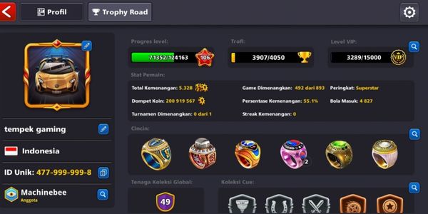 Akun Coins 200M (Data as per image)