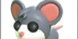 Normal Mouse