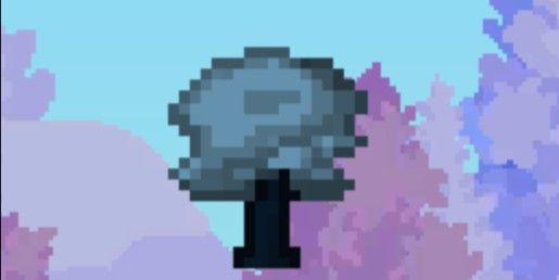 200 Frosted Glass Sapling