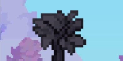 200 Basalt Wall Sapling