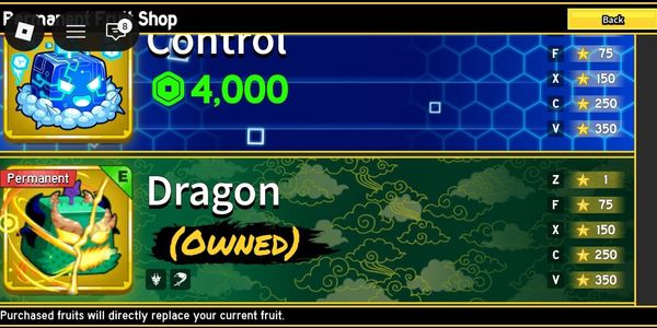 PERMANENT DRAGON ACCOUNT