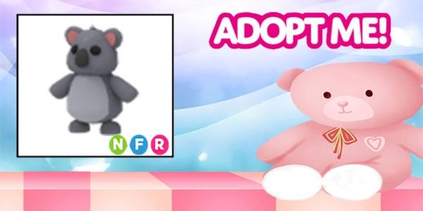 Koala NFR Adopt Me Pet