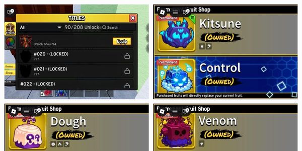 ACCOUNT 21 FRUIT PERMANENT + GAMEPASS LEVEL MAX