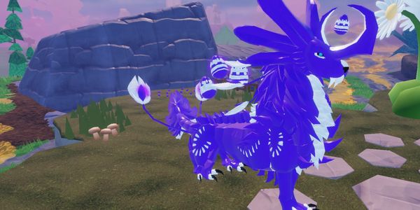 Aranga Dragon Adventures