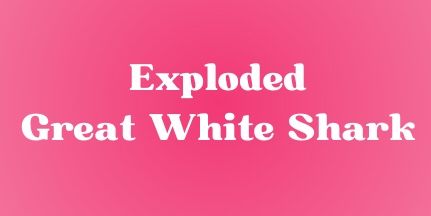 Exploded Great White Shark
