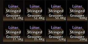 Lunar Stringed Grouper