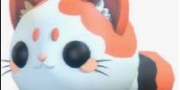 mochi meow