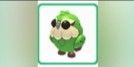 kakapo