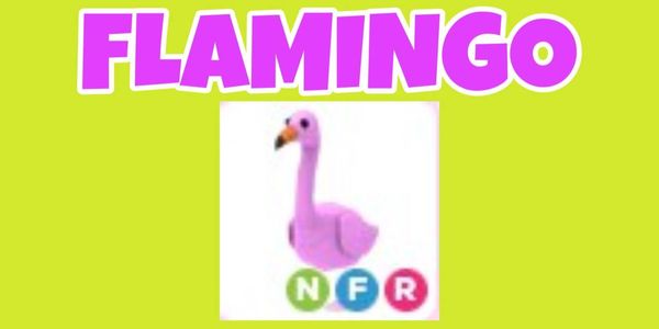 FLAMINGO - NFR