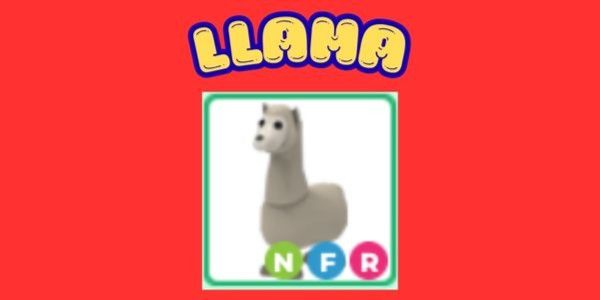 LLAMA - NFR