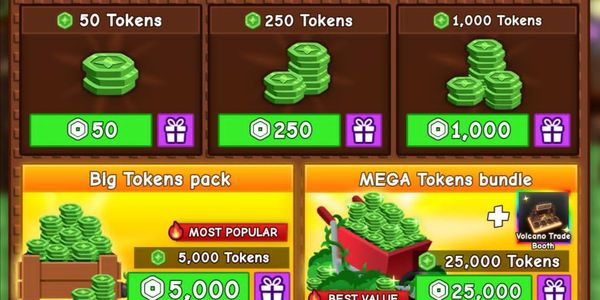 100 Token