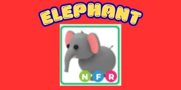 ELEPHANT - NFR