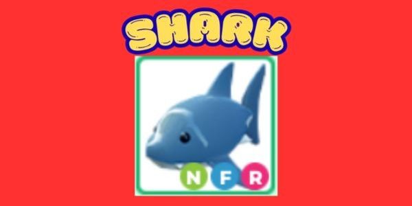SHARK - NFR