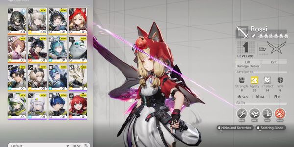 Rossi + SIgnature Weapon Arknights: Enfield No.77