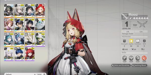 Rossi + SIgnature Weapon Arknights: Enfield No.79