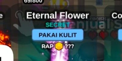 Limited Item (Rod Skin) 1! Eternal Flower Skin