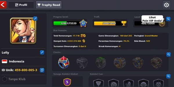 Account + Coins 4B (data according to the picture)