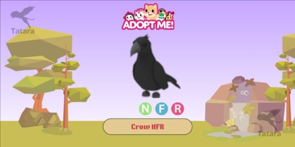 Crow NFR
