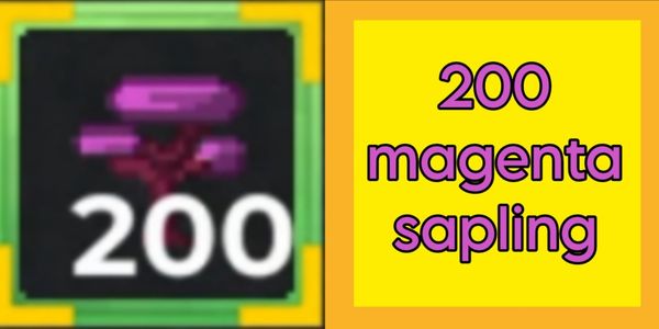 200 magenta sapling