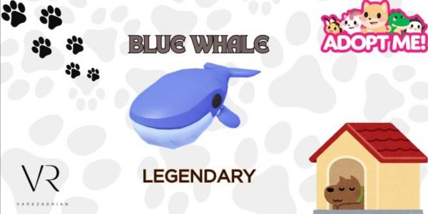 Blue Whale