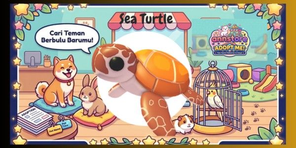Sea Turtle