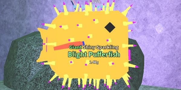 Giant Blight Pufferfish
