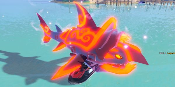 Gladiator Shark