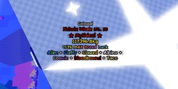 Colossal Albino Nebula Whale LVL10 (Alien+Fluffy+Clawed+Gold+Albino+Taco+Bloodbound+Volcanic)Flyable Rideable