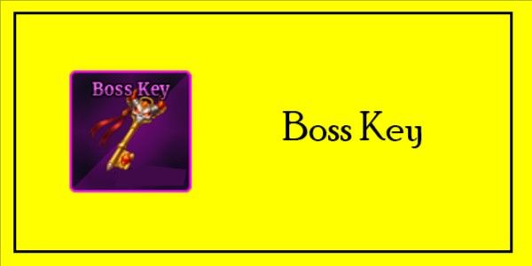 Boss Key (1000 Items)