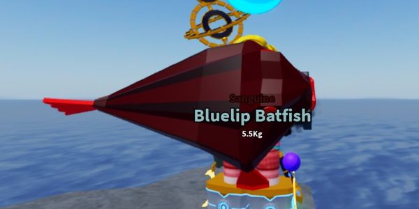 Sanguine Bluelip Batfish