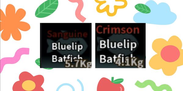 Crimson Bluelip Batfish & Sanguine Bluelip Batfish