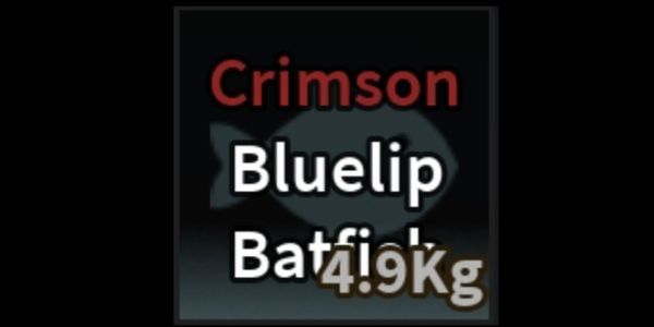 Crimson Bluelip Batfish
