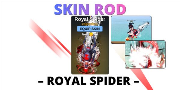 Royal Spider