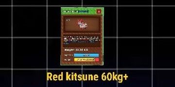 Red Kitsune max 60+kg