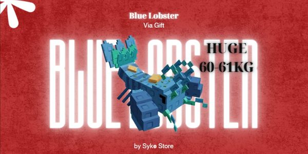 Blue Lobster HUGE 60-61kg
