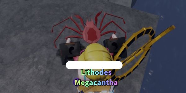 Lithodes Megacantha