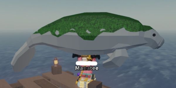 Manatee