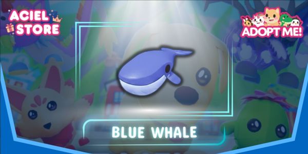 Blue Whale