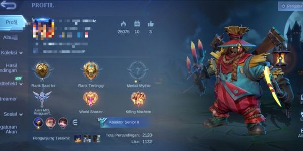amz94 sells handsome accounts, cool fiery borders, abundant items, all max emblems, many emotes, nice effects, just cheap sis