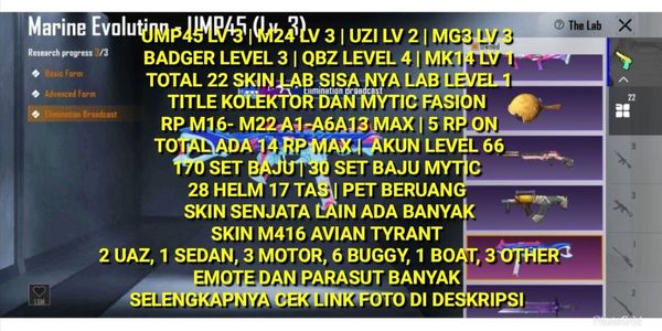 PUBG VERY CHEAP A2