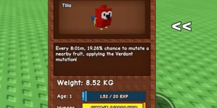 Titan Scarlet Macaw Grow A Garden